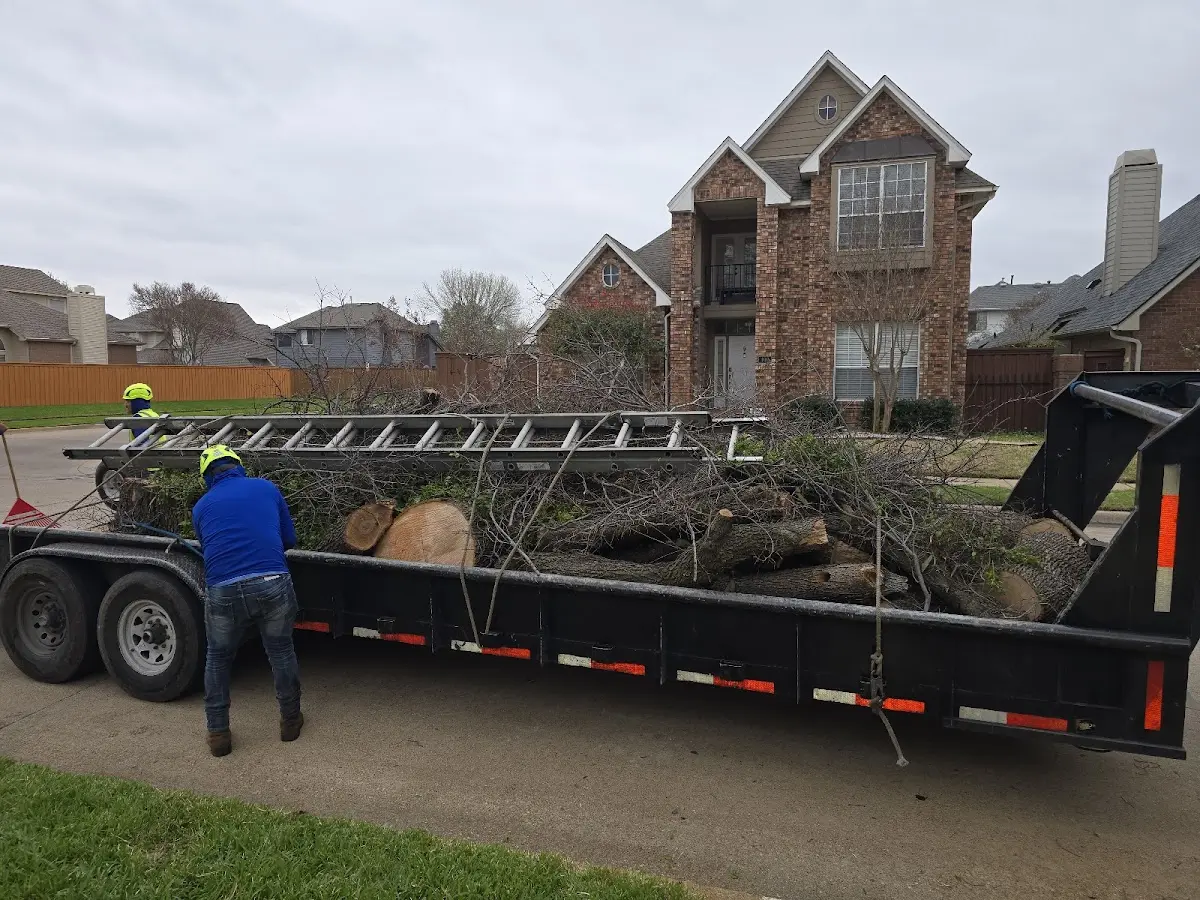 Expert Tree Fertilization with proper safety equipment in Morris Run